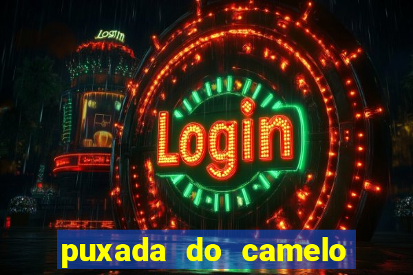 puxada do camelo no jogo do bicho